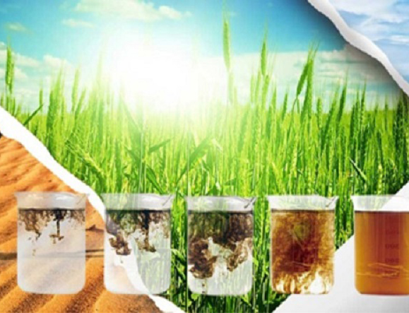 Bentonite Granules bentonite granules manufacturers